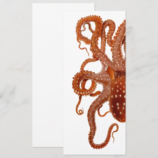  uitnodiging voor octopus (Voorkant / Achterkant)