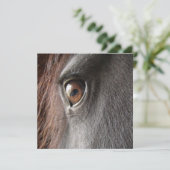 Uitnodiging voor paarden van het Friesian Horse Ey (Staand voorkant)