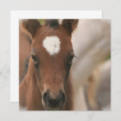 Uitnodiging voor paardenBaby (Voorkant / Achterkant)
