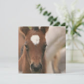 Uitnodiging voor paardenBaby (Staand voorkant)