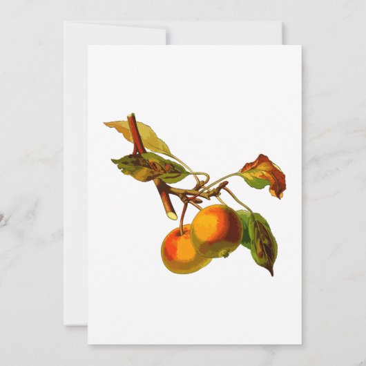 Uitnodiging voor piekbridal (Achterkant)