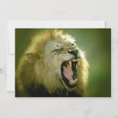 Uitnodiging voor Roaring Lion (Voorkant)