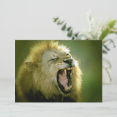 Uitnodiging voor Roaring Lion (Staand voorkant)