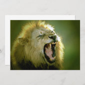 Uitnodiging voor Roaring Lion (Voorkant / Achterkant)
