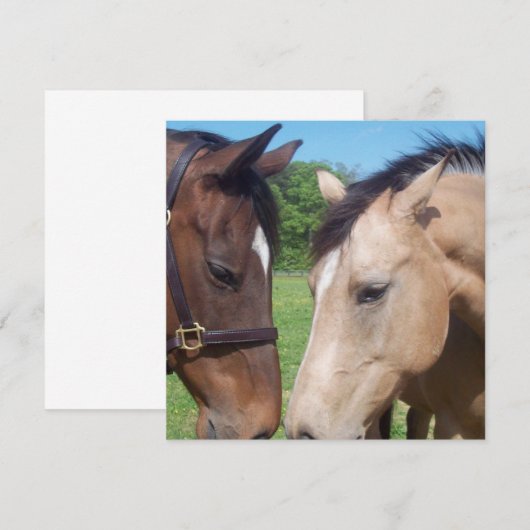 Uitnodiging voor Romance van paarden (Voorkant / Achterkant)