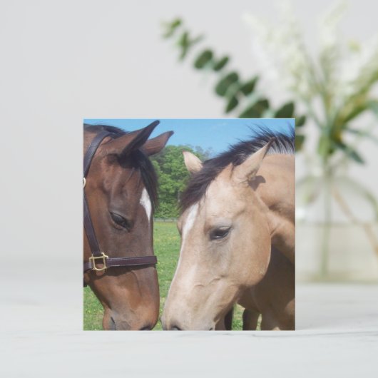 Uitnodiging voor Romance van paarden (Staand voorkant)