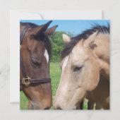 Uitnodiging voor Romance van paarden (Voorkant)