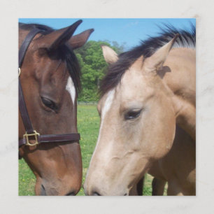 Uitnodiging voor Romance van paarden