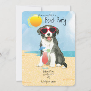 Uitnodiging voor Summer Border Collie Beach Party