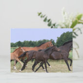 Uitnodiging voor wilde paarden (Staand voorkant)