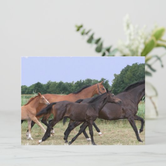 Uitnodiging voor wilde paarden (Staand voorkant)