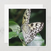 Uitnodiging voor witte en zwarte vleugelvlinder (Voorkant / Achterkant)