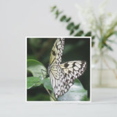 Uitnodiging voor witte en zwarte vleugelvlinder (Staand voorkant)