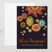 Uitnodiging voor zee-vierkant (Voorkant / Achterkant)