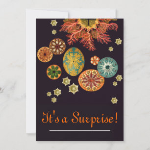 Uitnodiging voor zee-vierkant