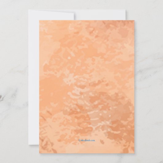 Uitnodiging voor zomerlezing (Achterkant)