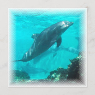 Uitnodiging voor zwempoppen