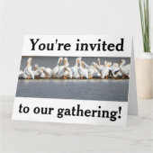 Uitnodiging wenskaart, Pelikanen (Voorkant)