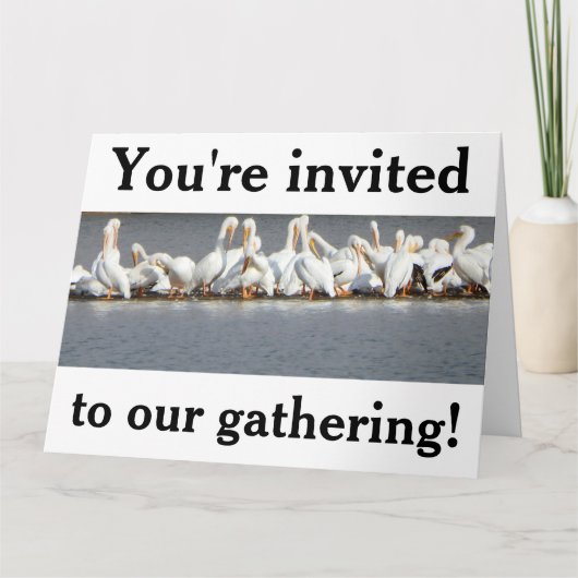 Uitnodiging wenskaart, Pelikanen (Voorkant)