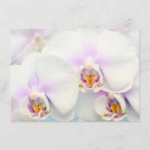 Uitnodiging Witte Orchideeën