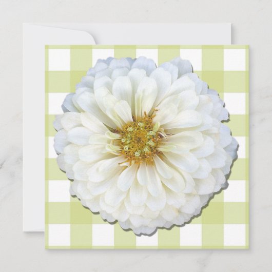 Uitnodiging - Witte Zinnia (Voorkant)