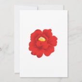 Uitnodigingen (Achterkant)