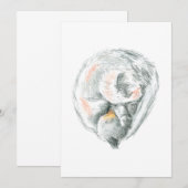 Uitnodigingen & Aankondigingen voor een katten dut (Voorkant / Achterkant)