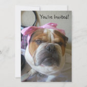 Uitnodigingen Engelse Bulldog Birthday of any occa (Voorkant)
