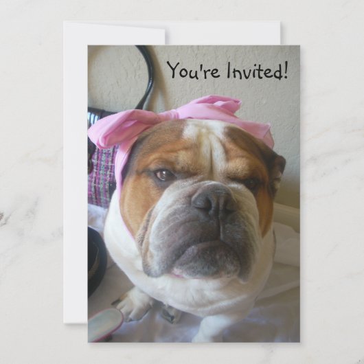 Uitnodigingen Engelse Bulldog Birthday of any occa (Voorkant)
