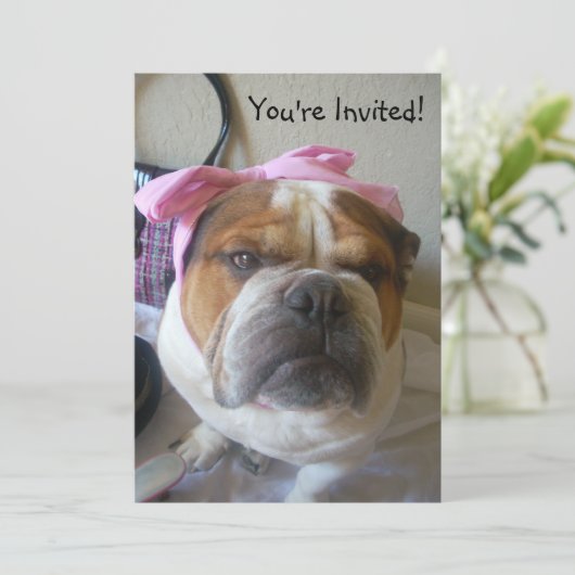 Uitnodigingen Engelse Bulldog Birthday of any occa (Staand voorkant)