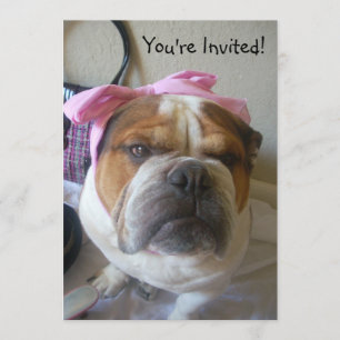 Uitnodigingen Engelse Bulldog Birthday of any occa