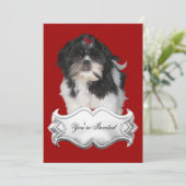 Uitnodigingen Shitzu Shih Tzu Puppy Dogs Red Black (Staand voorkant)