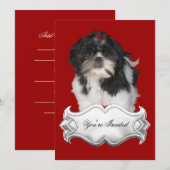 Uitnodigingen Shitzu Shih Tzu Puppy Dogs Red Black (Voorkant / Achterkant)