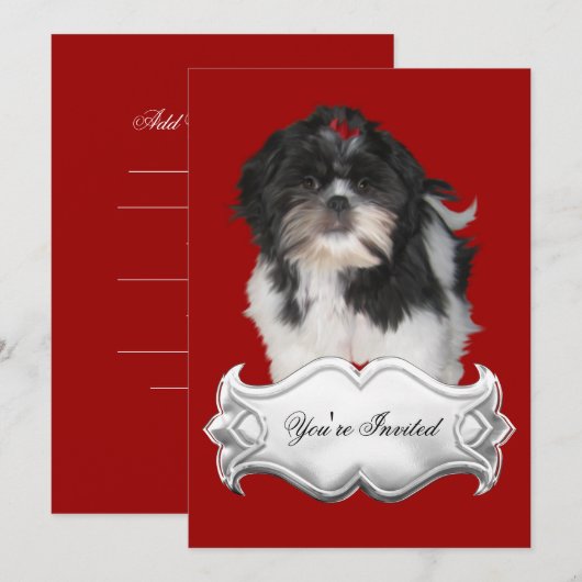 Uitnodigingen Shitzu Shih Tzu Puppy Dogs Red Black (Voorkant / Achterkant)