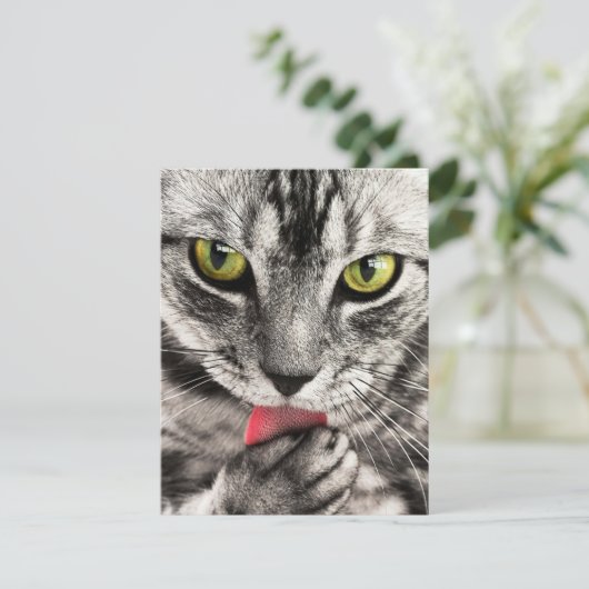 Uitnodigingen Stationery Wenskaarten (Staand voorkant)