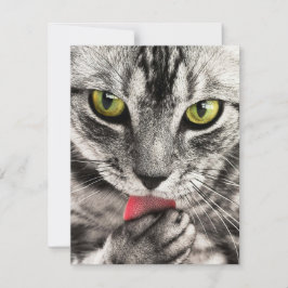 Uitnodigingen Stationery Wenskaarten