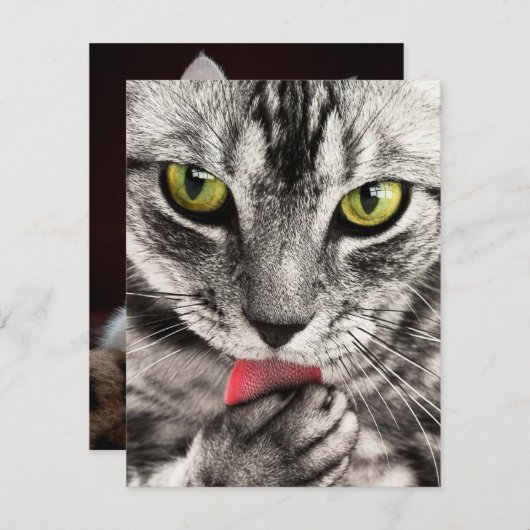 Uitnodigingen Stationery Wenskaarten (Voorkant / Achterkant)