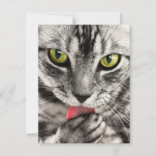 Uitnodigingen Stationery Wenskaarten