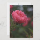 Uitnodigingen tot het indienen van afstuderen (Achterkant)