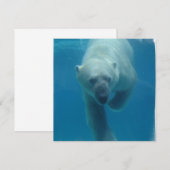 Uitnodigingen tot het zwemmen van Beer (Voorkant / Achterkant)