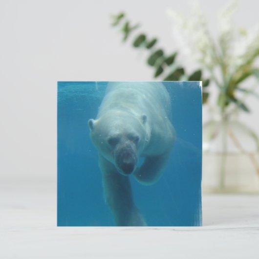 Uitnodigingen tot het zwemmen van Beer (Staand voorkant)