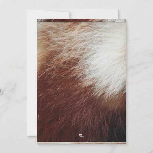 Uitnodigingen van de Rode Panda-partij (Achterkant)