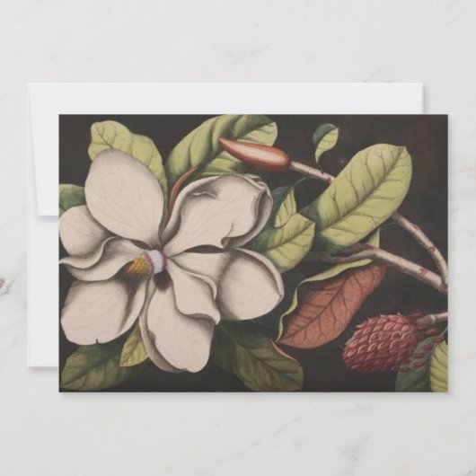 Uitnodigingen van het huwelijk van Magnolia (Achterkant)