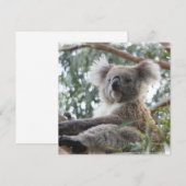 Uitnodigingen van Koala (Voorkant / Achterkant)