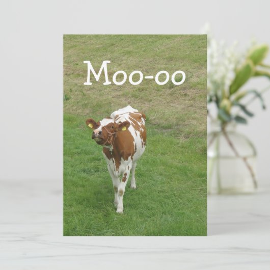 Uitnodigingen van Kooppartijen (Staand voorkant)