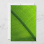 Uitnodigingen van Luau Party (Achterkant)