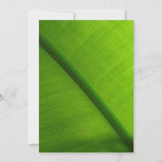 Uitnodigingen van Luau Party (Achterkant)