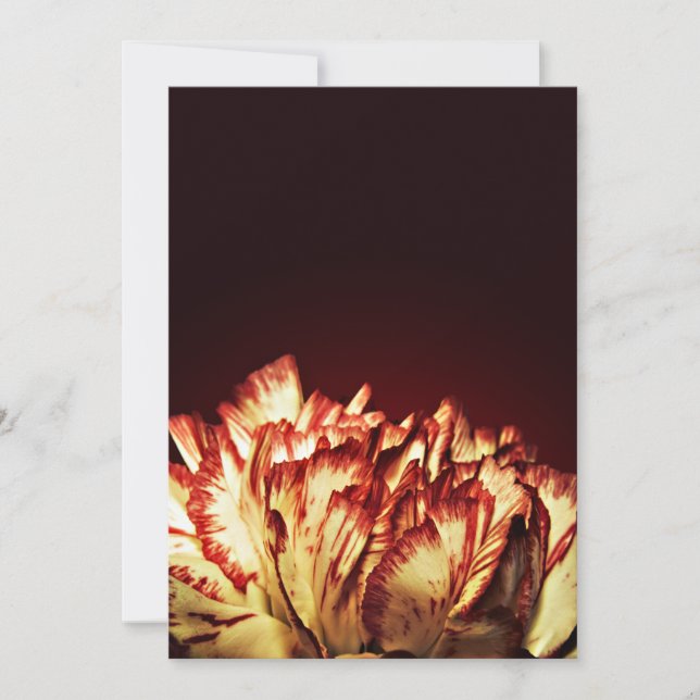 Uitnodigingen voor anjerbrand (Voorkant)