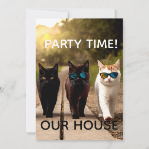 UITNODIGINGEN VOOR COOL KATTENPARTY