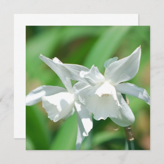 Uitnodigingen voor het kleinbeker (Voorkant / Achterkant)